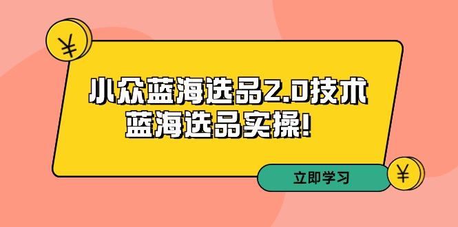 拼多多培训第33期：小众蓝海选品2.0技术-蓝海选品实操！-全知学堂