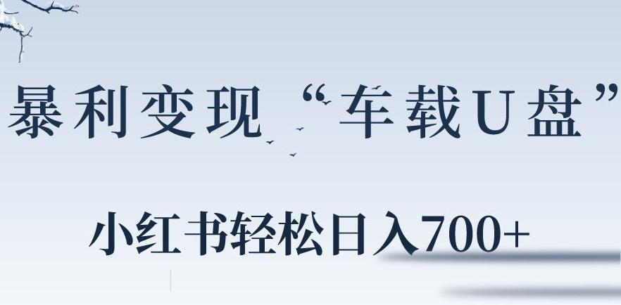 小红书“车载U盘”暴利引流，日入700+-全知学堂