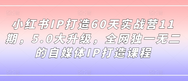 小红书IP打造60天实战营11期，5.0大升级，全网独一无二的自媒体IP打造课程-全知学堂