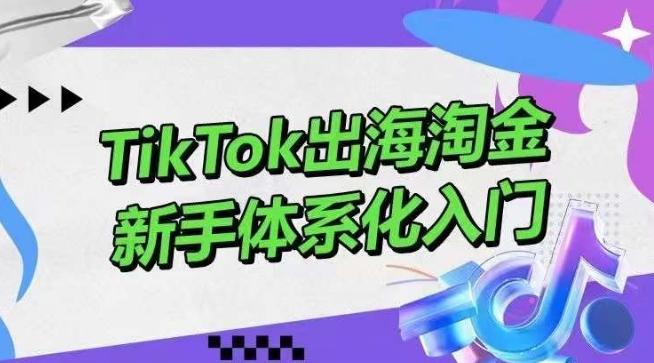 TikTok出海淘金，新手体系化入门，零基础快速入门，掌握短视频、直播带货等引流到变现的知识-全知学堂