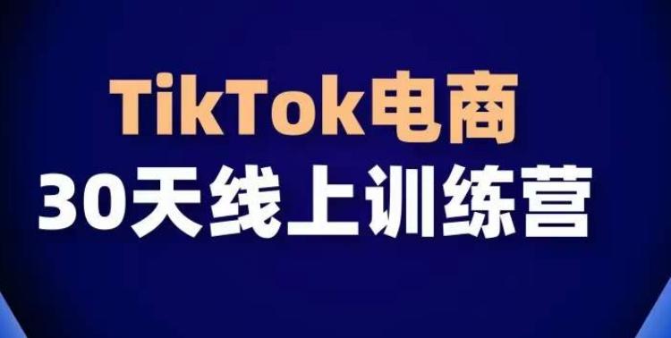 TikTok电商带货30天线上课，不可错过的全球流量洼地！-全知学堂