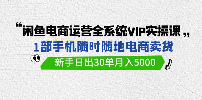 (9547期)闲鱼电商运营全系统VIP实战课，1部手机随时随地卖货，新手日出30单月入5000-全知学堂