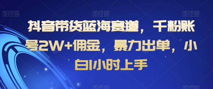 抖音带货蓝海赛道，千粉账号2W+佣金，暴力出单，小白1小时上手【揭秘】-全知学堂