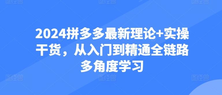 2024拼多多最新理论+实操干货，从入门到精通全链路多角度学习-全知学堂