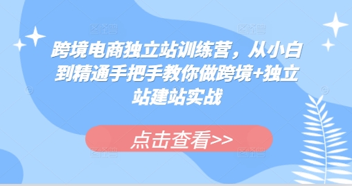 跨境电商独立站训练营，从小白到精通手把手教你做跨境+独立站建站实战-全知学堂