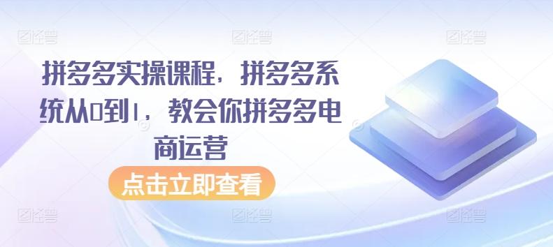 拼多多实操课程，拼多多系统从0到1，教会你拼多多电商运营-全知学堂