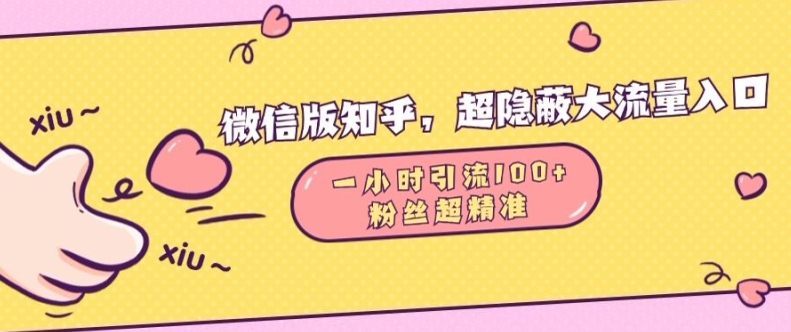 微信版知乎，超隐蔽流量入口1小时引流100人，粉丝质量超高【揭秘】-全知学堂