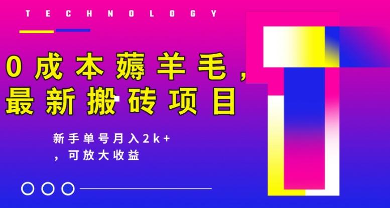 0成本薅羊毛，最新搬砖项目，新手单号月入2k+，可放大操作-全知学堂