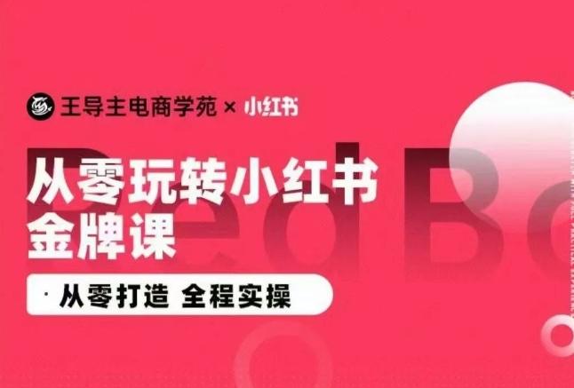 王导主·小红书电商运营实操课，​从零打造  全程实操-全知学堂