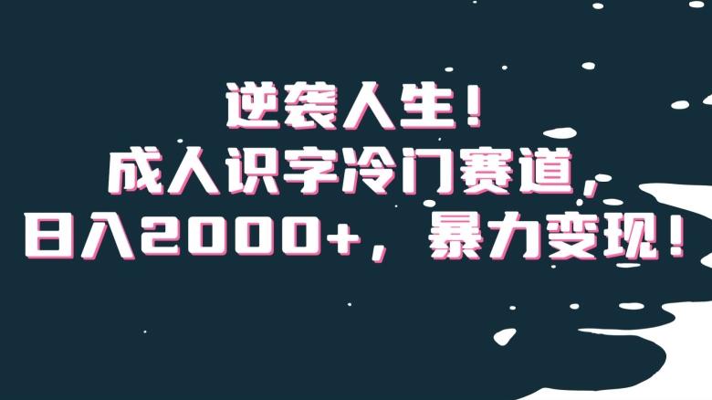 逆袭人生！成人识字冷门赛道，日入2000+，暴力变现！【揭秘】-全知学堂