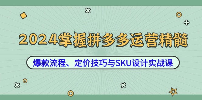 2024掌握拼多多运营精髓：爆款流程、定价技巧与SKU设计实战课-全知学堂