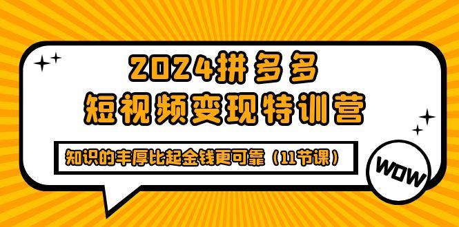 (9817期)2024拼多多短视频变现特训营，知识的丰厚比起金钱更可靠(11节课)-全知学堂