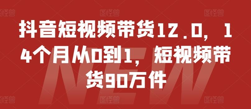 抖音短视频带货12.0，14个月从0到1，短视频带货90万件-全知学堂