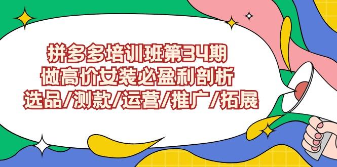 (9333期)拼多多培训班第34期：做高价女装必盈利剖析  选品/测款/运营/推广/拓展-全知学堂