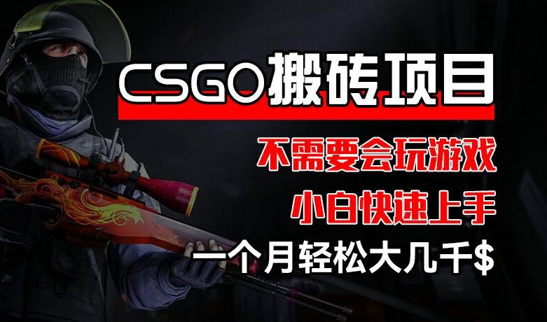 CSGO 装备搬砖项目，操作简单，不需要会玩游戏，小白也能快速上手，一个月轻松大几千【揭秘】-全知学堂