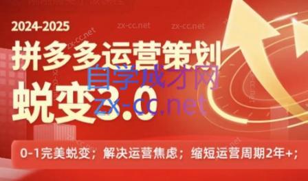 大力老师·2024拼多多运营策略蜕变3.0-全知学堂