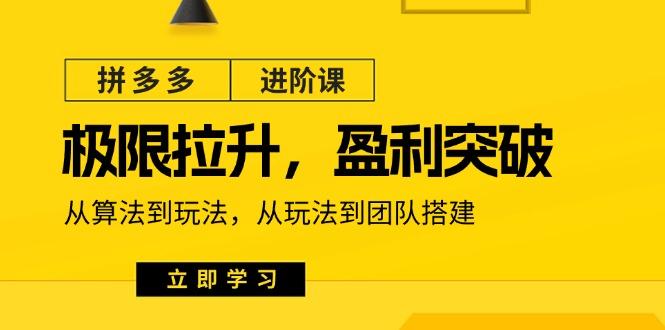 拼多多·进阶课：极限拉升/盈利突破：从算法到玩法 从玩法到团队搭建-18节-全知学堂