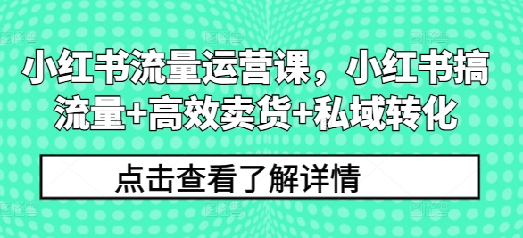 小红书流量运营课，小红书搞流量+高效卖货+私域转化-全知学堂