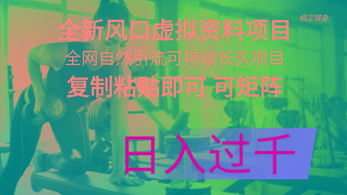 全新风口虚拟资料项目 全网自然引流可持续长久项目 复制粘贴即可可矩阵…-全知学堂