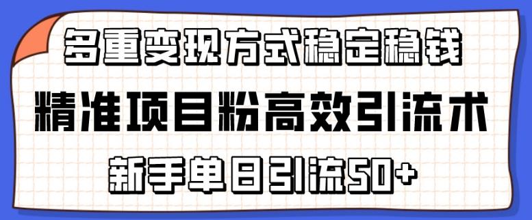 精准项目粉高效引流术，新手单日引流50+，多重变现方式稳定赚钱【揭秘】-全知学堂