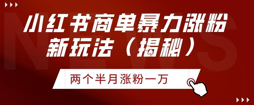 小红书商单暴力涨粉新玩法两个半月涨粉一万（揭秘）-全知学堂