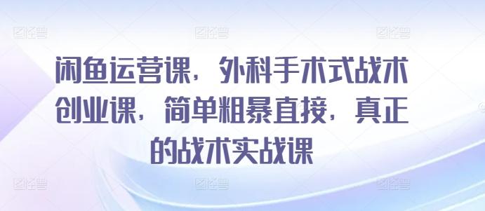 闲鱼运营课，外科手术式战术创业课，简单粗暴直接，真正的战术实战课-全知学堂