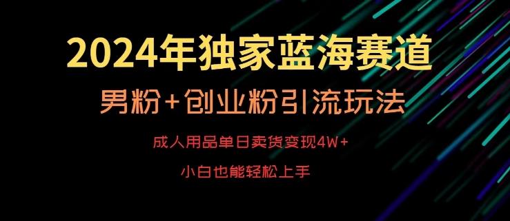 2024年独家蓝海赛道，成人用品单日卖货变现4W+，男粉+创业粉引流玩法，不愁搞不到流量【揭秘】-全知学堂