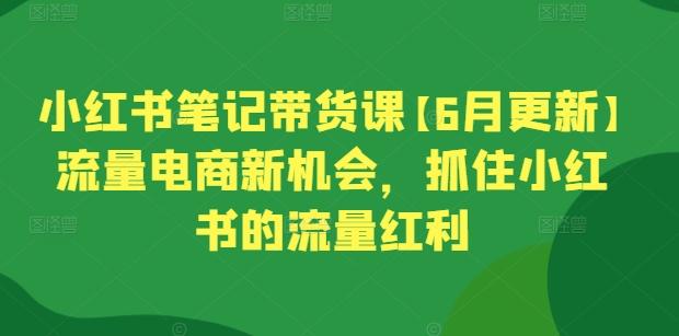 小红书笔记带货课【6月更新】流量电商新机会，抓住小红书的流量红利-全知学堂