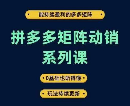 拼多多矩阵动销系列课，能持续盈利的多多矩阵，0基础也听得懂，玩法持续更新-全知学堂