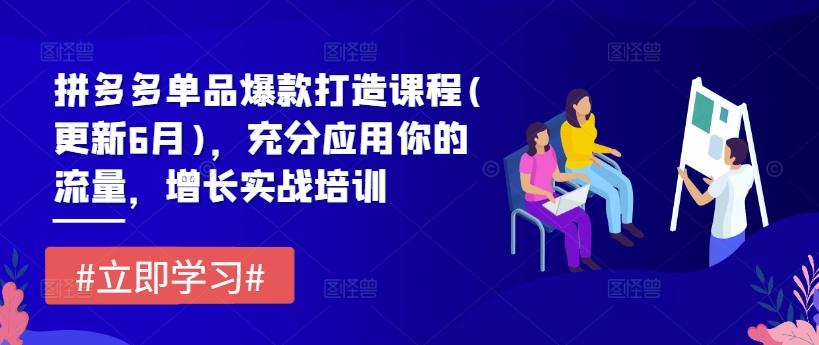 拼多多单品爆款打造课程(更新6月)，充分应用你的流量，增长实战培训-全知学堂