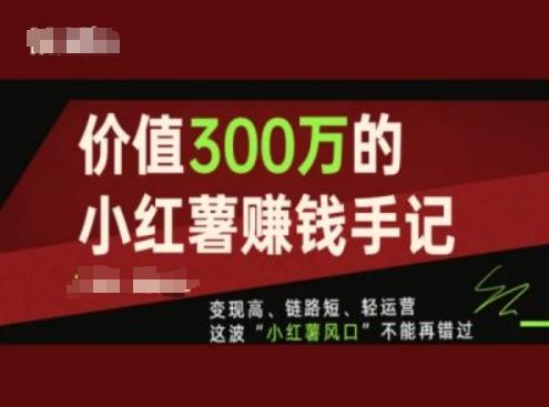 价值300万的小红书赚钱手记，变现高、链路短、轻运营，这波“小红薯风口”不能再错过-全知学堂