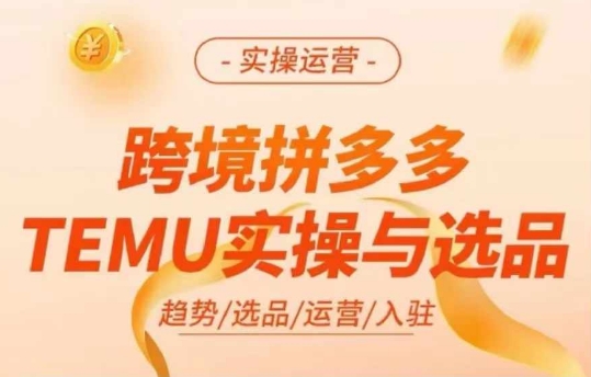 跨境拼多多TEMU实操与选品，多多temu跨境选品运营实操-全知学堂