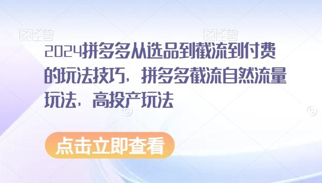 2024拼多多从选品到截流到付费的玩法技巧，拼多多截流自然流量玩法，高投产玩法-全知学堂