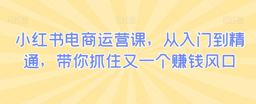 小红书电商运营课，从入门到精通，带你抓住又一个赚钱风口-全知学堂