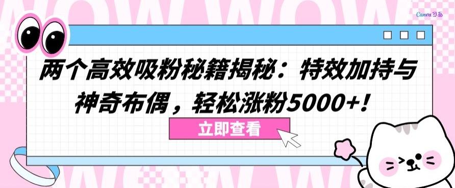 两个高效吸粉秘籍揭秘：特效加持与神奇布偶，轻松涨粉5000+【揭秘】-全知学堂