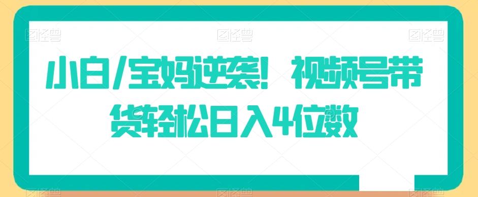 小白/宝妈逆袭！视频号带货轻松日入4位数【揭秘】-全知学堂