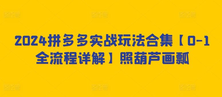 2024拼多多实战玩法合集【0-1全流程详解】照葫芦画瓢-全知学堂