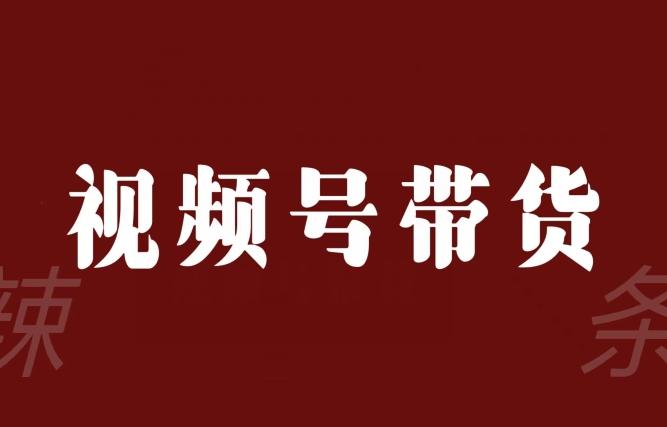 视频号带货联盟，赚信息差的带货钱，只需手机随时随地都可以做！-全知学堂