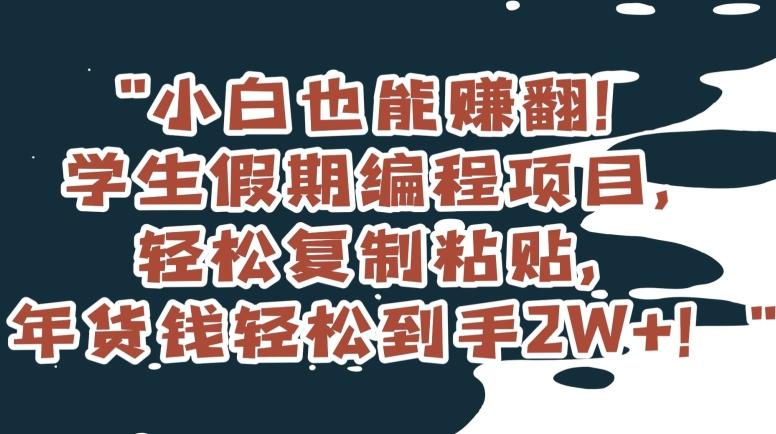 小白也能赚翻！学生假期编程项目，轻松复制粘贴，年货钱轻松到手2W+【揭秘】-全知学堂