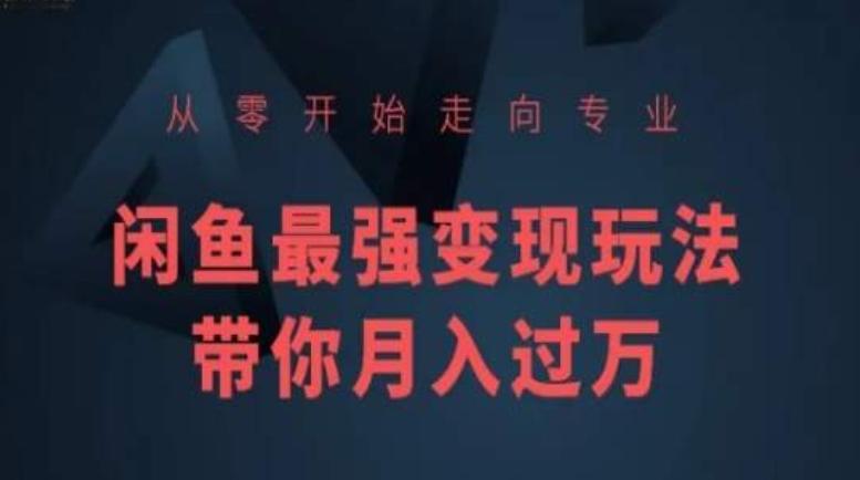 从零开始走向专业，闲鱼最强变现玩法带你月入过万-全知学堂