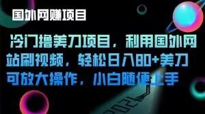 冷门撸美刀项目，利用国外网站刷视频，轻松日入80+美刀，可放大操作，小白随便上手-全知学堂