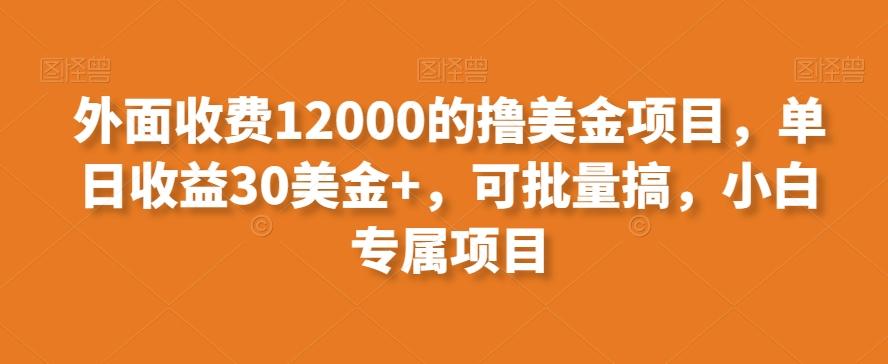 外面收费12000的撸美金项目，单日收益30美金+，可批量搞，小白专属项目-全知学堂