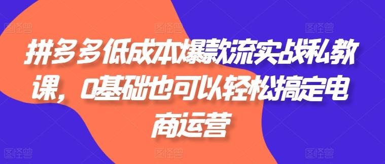 拼多多低成本爆款流实战私教课，0基础也可以轻松搞定电商运营-全知学堂