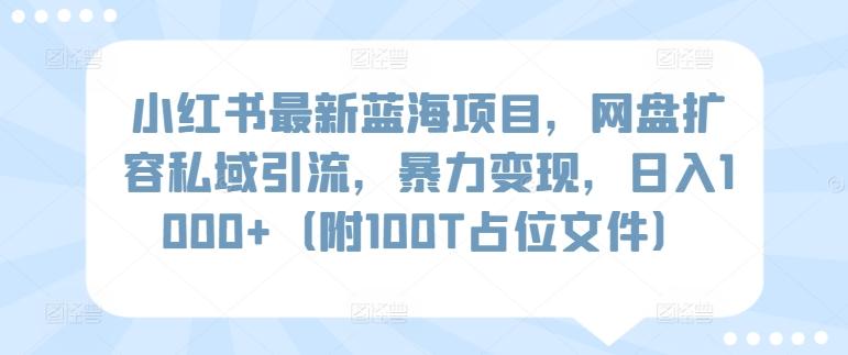 小红书最新蓝海项目，网盘扩容私域引流，暴力变现，日入1000+(附100T占位文件)【揭秘】-全知学堂